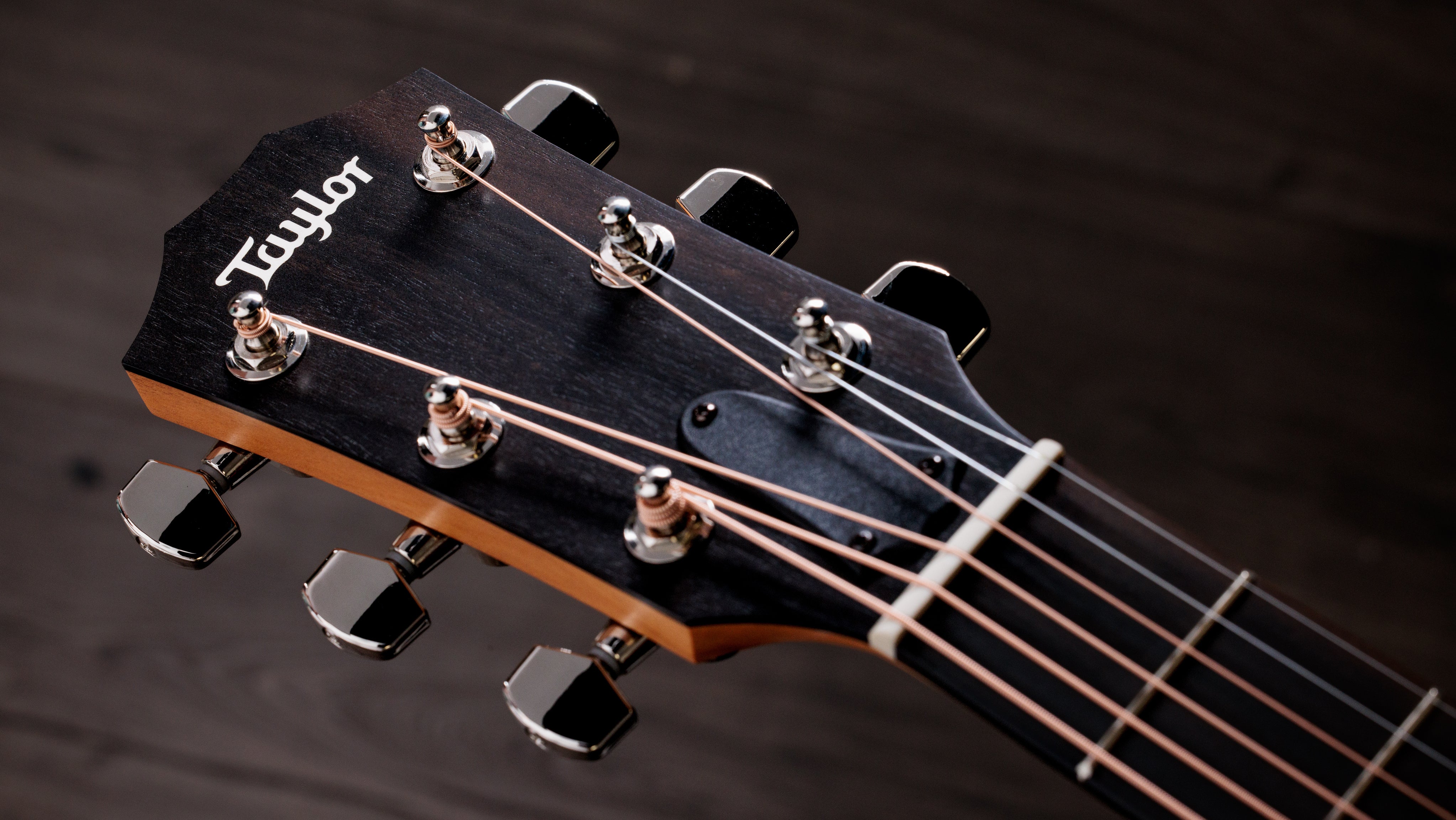 214ce Plus,Rosewood/Spruce