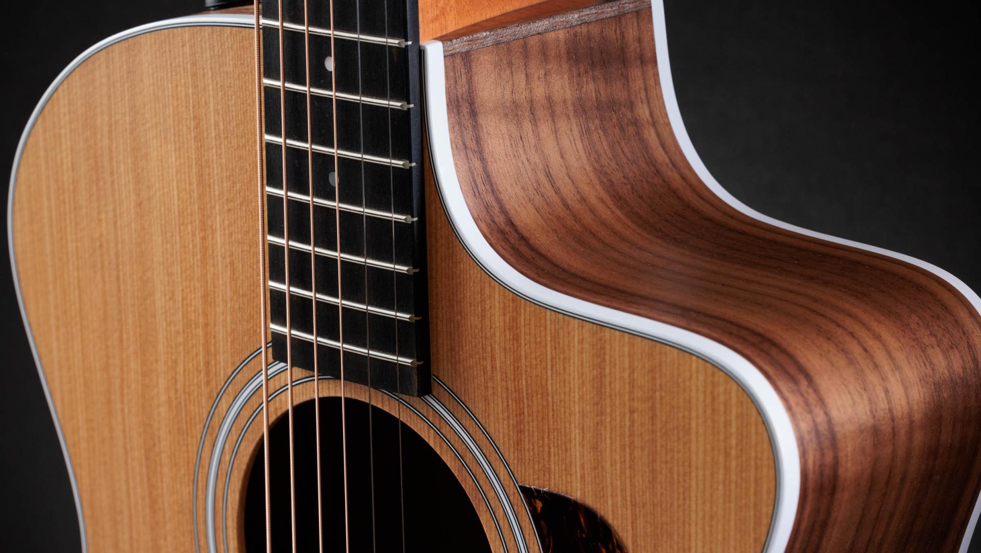 TAYLOR 214ce, Walnut/Spruce, Guitarra Electroacústica