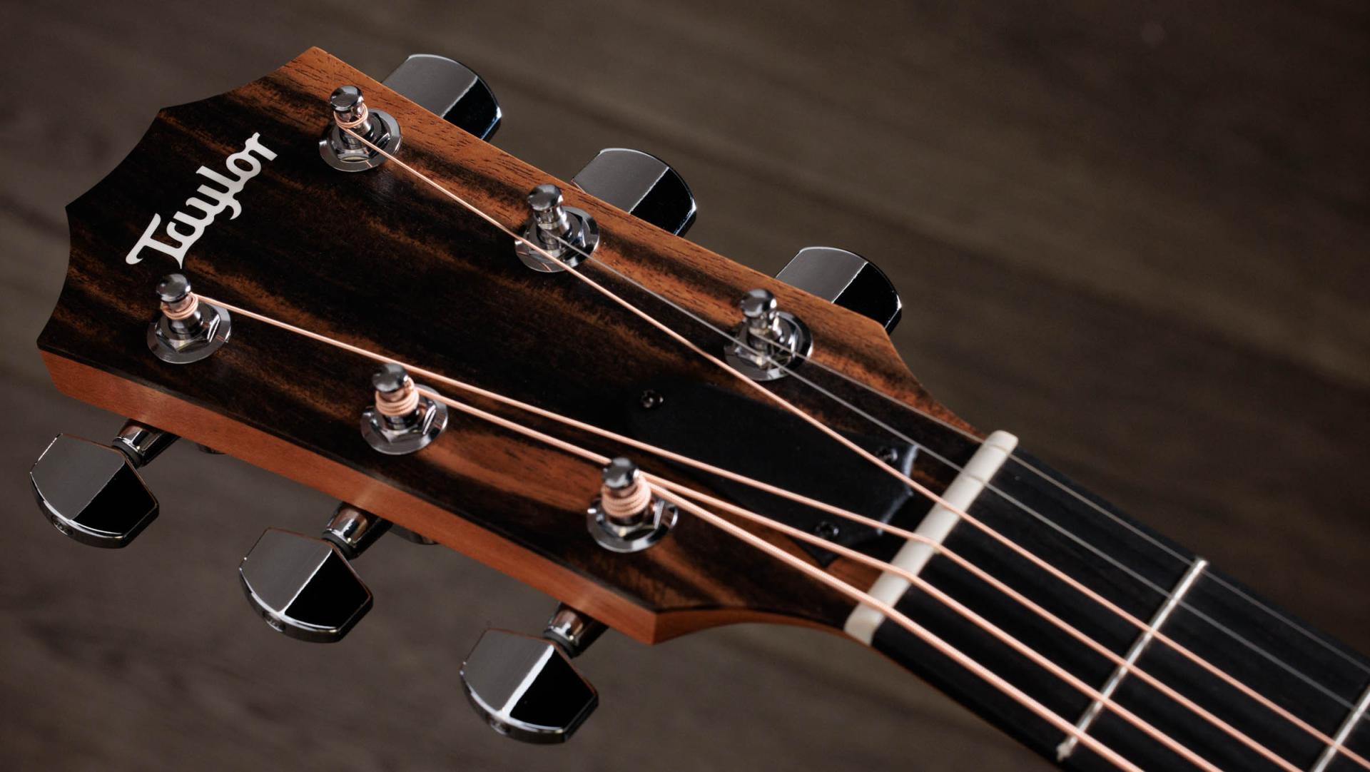 TAYLOR 214ce, Walnut/Spruce, Guitarra Electroacústica