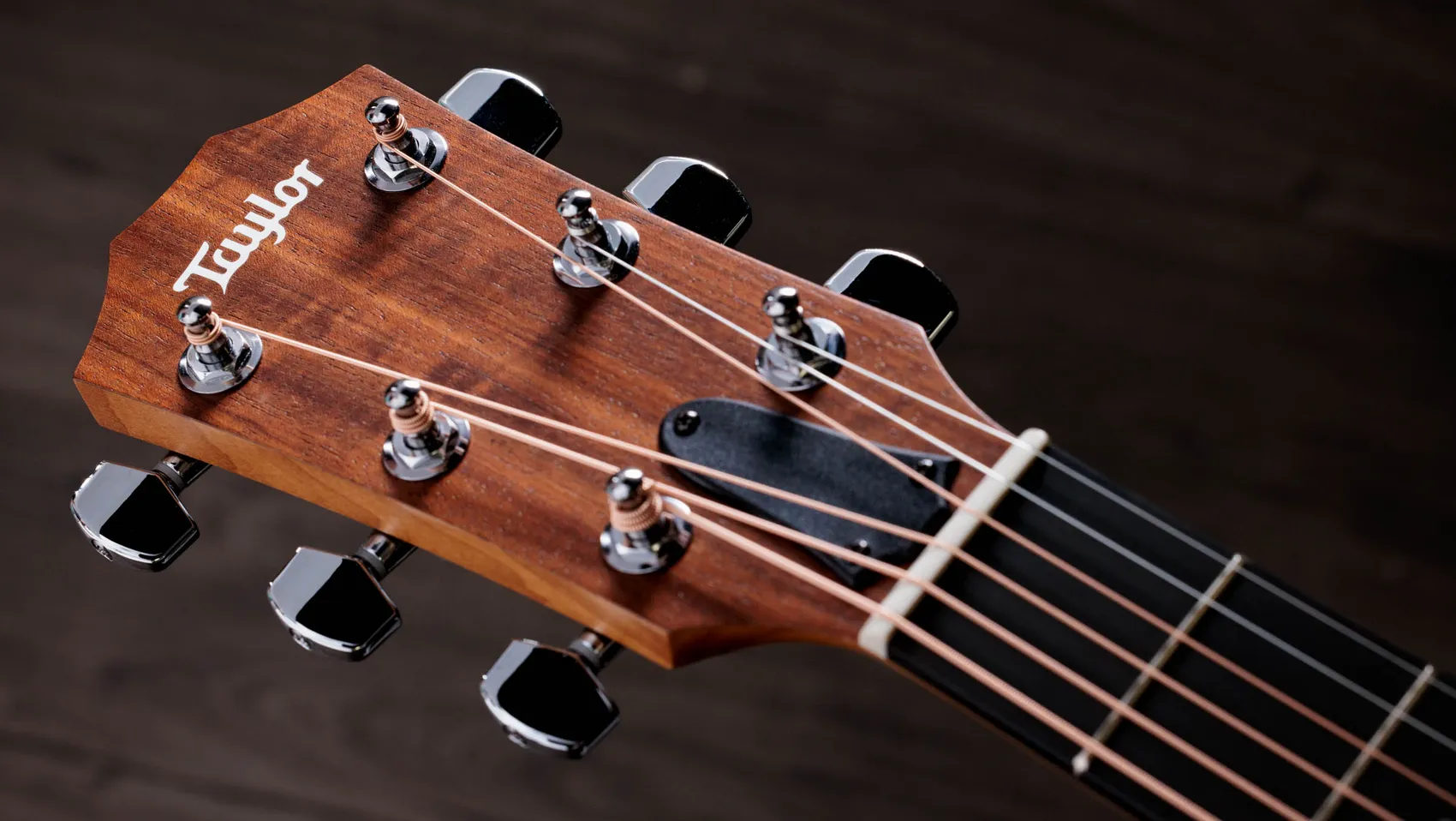 Academy 10e,Walnut/Spruce